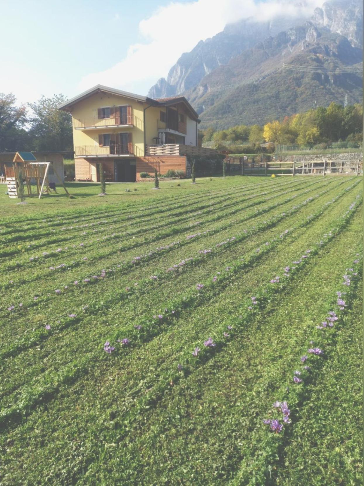 Azienda Agricola Agriturismo I Sei Petali Capo di Ponte Exterior foto